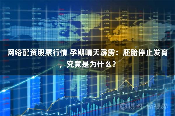 网络配资股票行情 孕期晴天霹雳：胚胎停止发育，究竟是为什么？